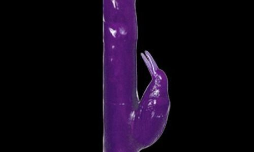 top-cat-bath-tub-birdie-pur